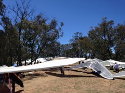 12509661_1051861694866327_4952920828469570097_n